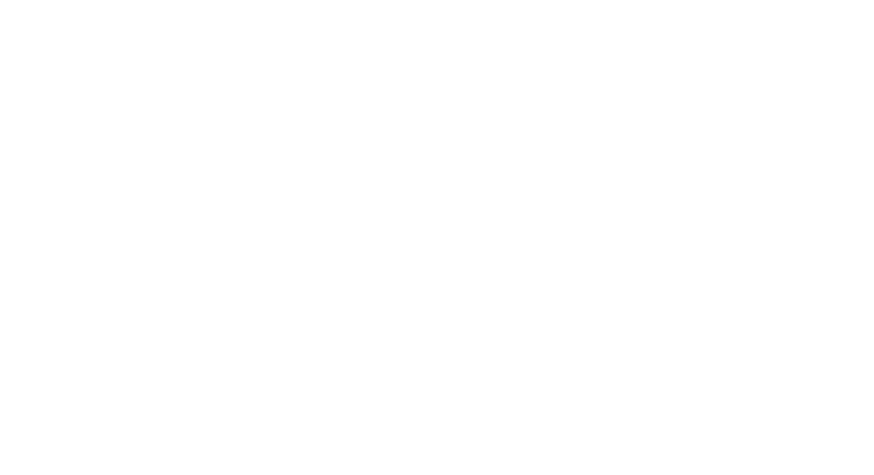 OPUS Contractor Group LLC